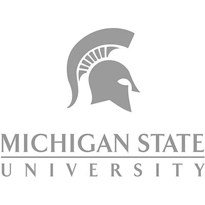 msu